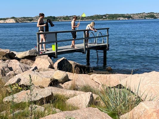 Vår brygga, badstege, krabbor, grill intill, sittplatser!
