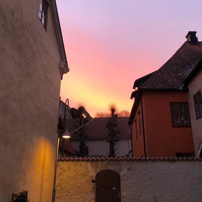Visby innerstad - Bild 7