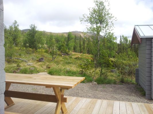 Lofsdalen - Fjällen på riktigt - Bild 7