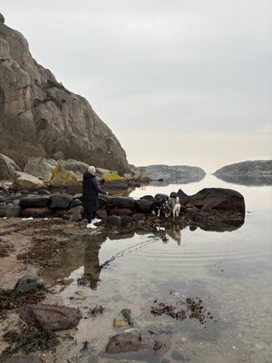 Uthyres stuga Hamburgö på Sveriges västkust - Bild 30