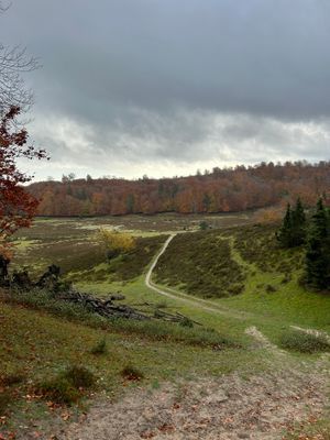 Drakamöllans Naturreservat