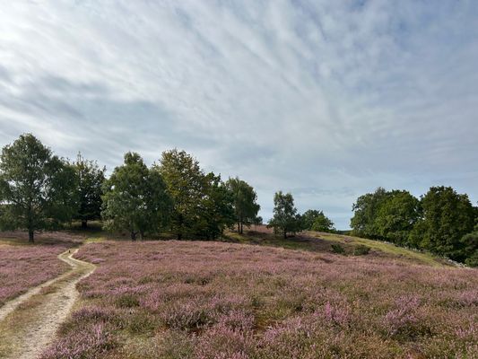 Drakamöllans Naturreservat
