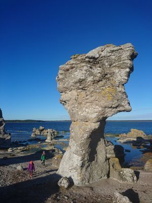 Totalt lugn - 300 m från underbar sandstrand - Bild 19