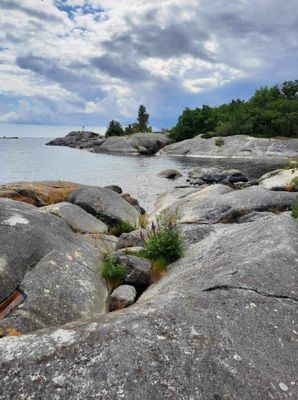 Sjönära stuga i trevligt område Gräddö/Rådmansö - Bild 30