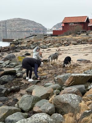 Uthyres stuga Hamburgö på Sveriges västkust - Bild 31