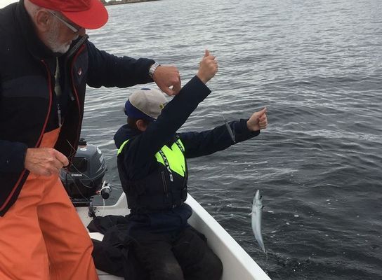 Havet, två meter från med egen brygga. - Bild 13