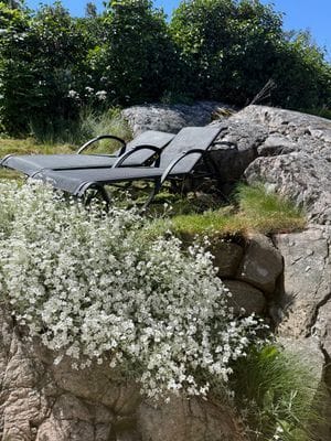 Lägenhet precis vid havet på Nordkoster - Bild 13