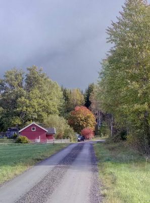Mysig stuga på landet, 4-6 bäddar, hund välkommen - Bild 7