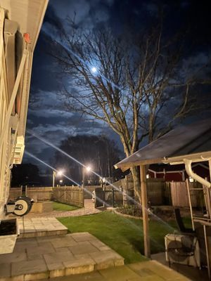 Stort strandnära sommarhus med härlig trädgård - Bild 36