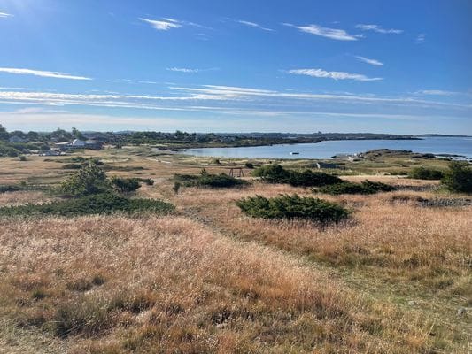 Stuga vid havet på Getterön - Bild 24
