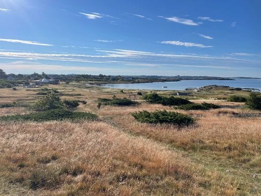 Stuga vid havet på Getterön - Bild 23