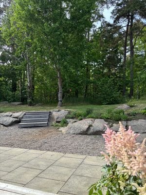 Hus nära skog och hav