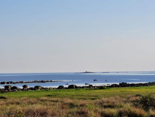 Havsnära fritidsboende i Grimsholmen Falkenberg - Bild 12