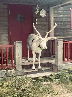 Mysig  vilsam stuga