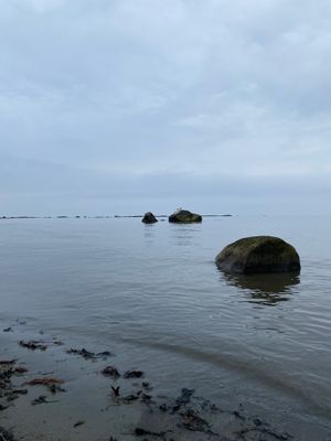 Bild 4 på Rymligt stuga 150 m från barnvänlig sandstrand