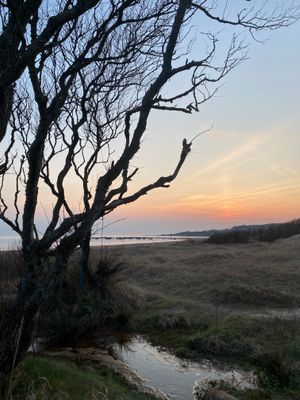 Hyr denna stuga i Haverdal på 130 m². 9-14 sängplatser. 18 000 - 20 000 kr per vecka. Se bilder och tillgänglighet här.