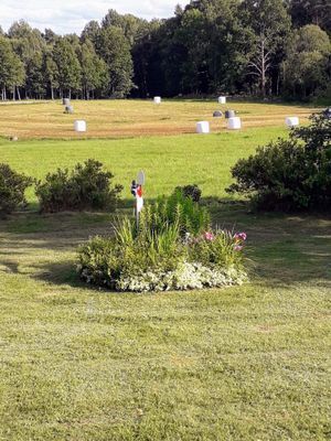 Liten mysig stuga på landet - Bild 11
