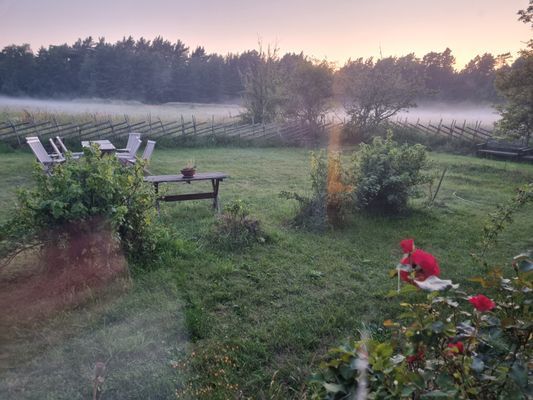 Bild 3 på Fårö, 8-bäddarshus nära stränder och Fårö Fyr