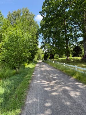 Mysigt hus nära sjön Bolmen – perfekt för fiske - Bild 9
