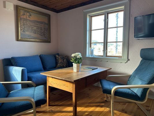 Braskamin och inbyggd våningssäng i vardagsrummet