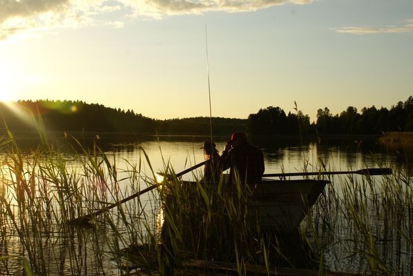 Mysiga stugor vid sjö, egen badplats och båt - Bild 10