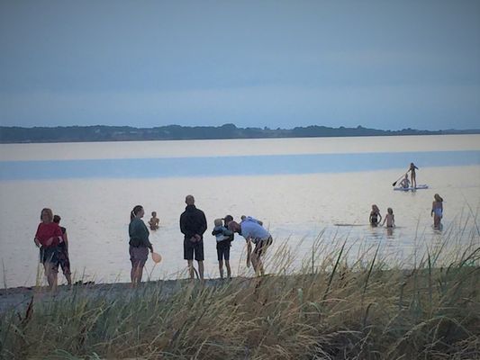 Unikt läge! Stuga på stranden - Bild 31