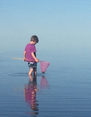 Unikt läge! Stuga på stranden - Bild 23