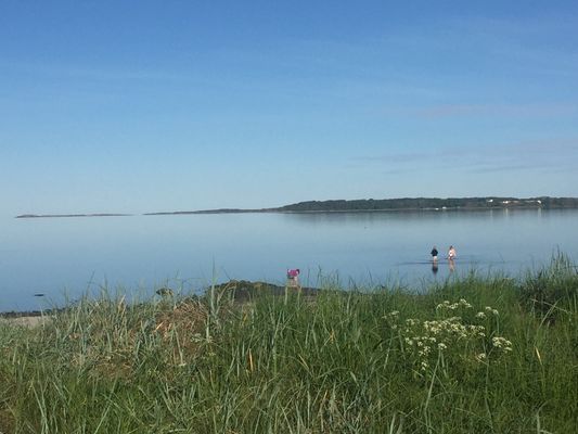 Unikt läge! Stuga på stranden - Bild 14