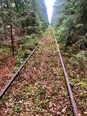 Timmerhus - Bild 30