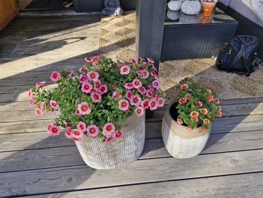 Charmig västkuststuga med närhet till havet - Bild 7