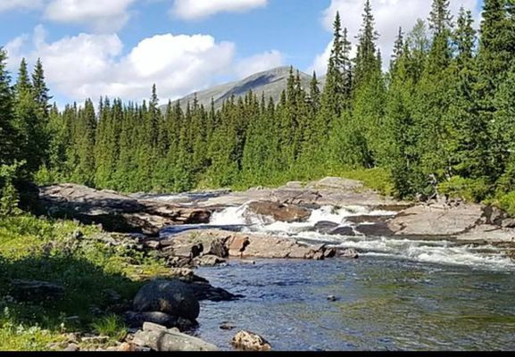 Mysig stuga i Borgafjäll uthyres - Bild 11