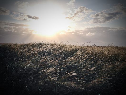 Unikt läge! Stuga på stranden - Bild 17