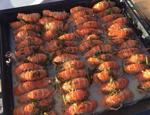 Unikt läge! Stuga på stranden - Bild 16