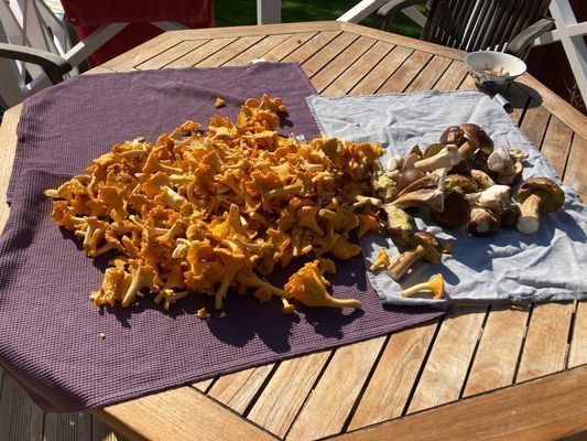 Bild 4 på Charmig stuga med sjötomt