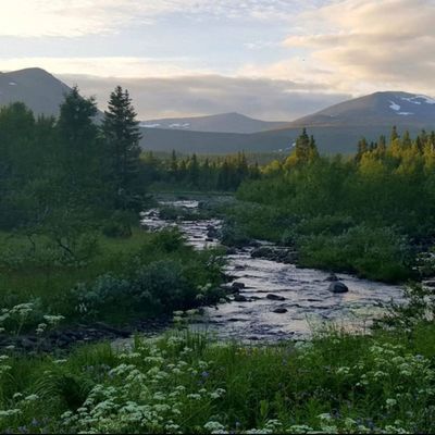 Mysig stuga i Borgafjäll uthyres - Bild 13