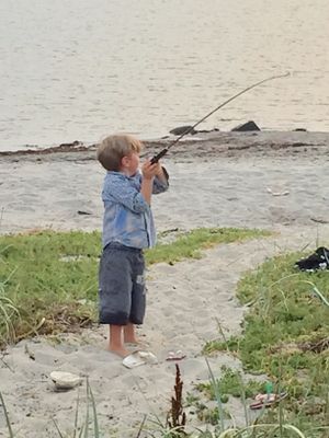 Unikt läge! Stuga på stranden - Bild 29