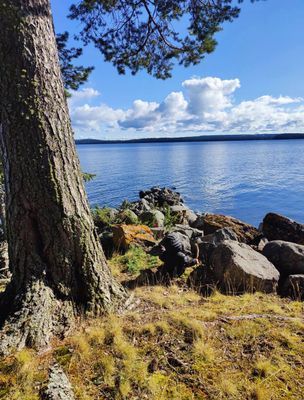 Norderön, Rapp-Anders Torpet Sommarboende - Bild 9