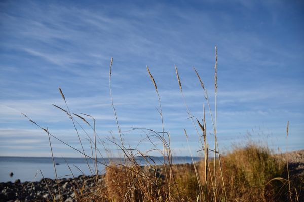 Sommarparadis vid havet  på Bjärekusten - Bild 17
