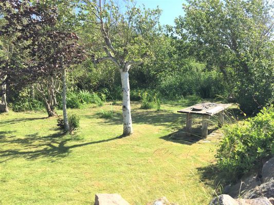 Unikt läge! Stuga på stranden - Bild 44