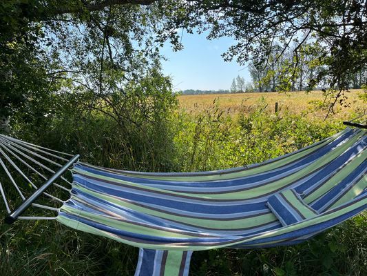 Njut av hängmatta i skuggan