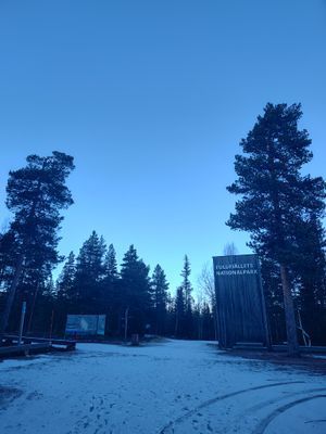 Magisk stuga i med utsikt över Fulufjället - Bild 50