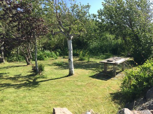 Unikt läge! Stuga på stranden - Bild 58