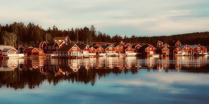Hundvänligt familjeparadis mitt i Norrfällsviken - Bild 23