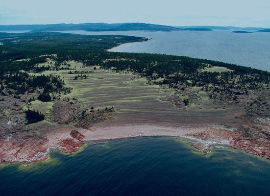 Hundvänligt familjeparadis mitt i Norrfällsviken - Bild 25