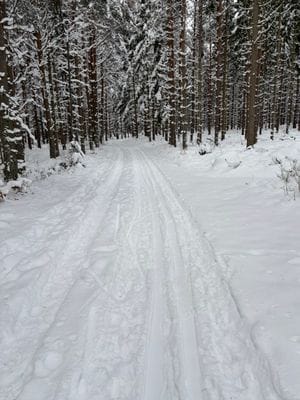 Mysigt hus i kyrkby nära Vänern - Bild 71