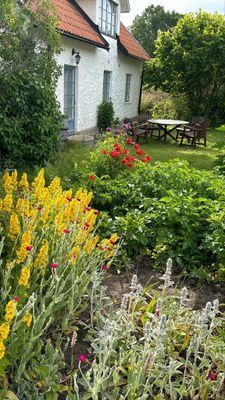 Bo naturskönt på södra Gotland