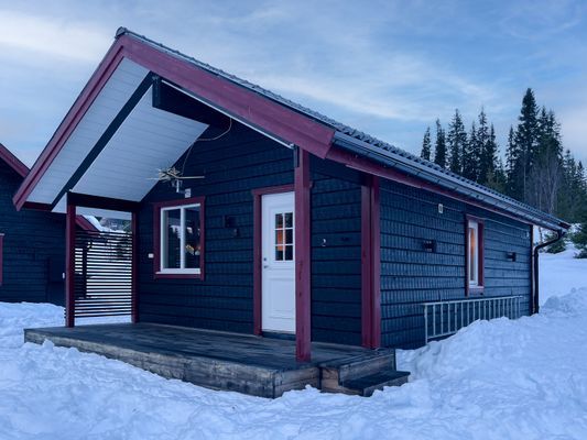 Mindre stuga med Ski-In läge