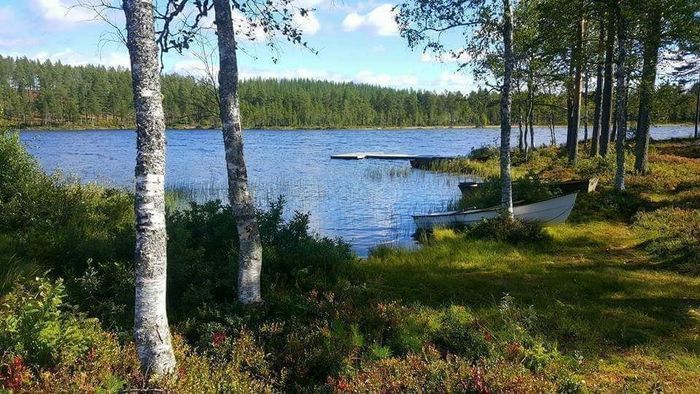 Hamra Stugby- Stuga Nr. 8 - Bild 13