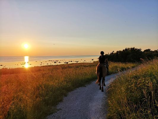 Gula stugan - Bild 11