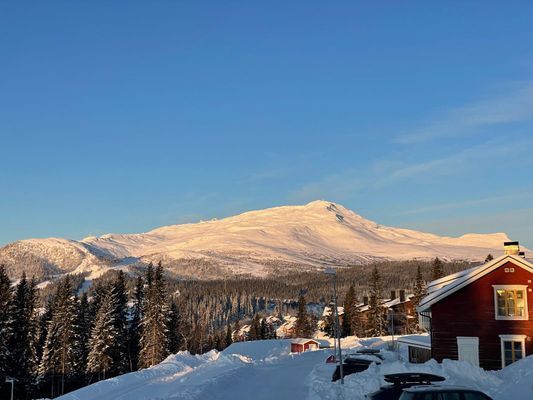 vy från framsidan av huset